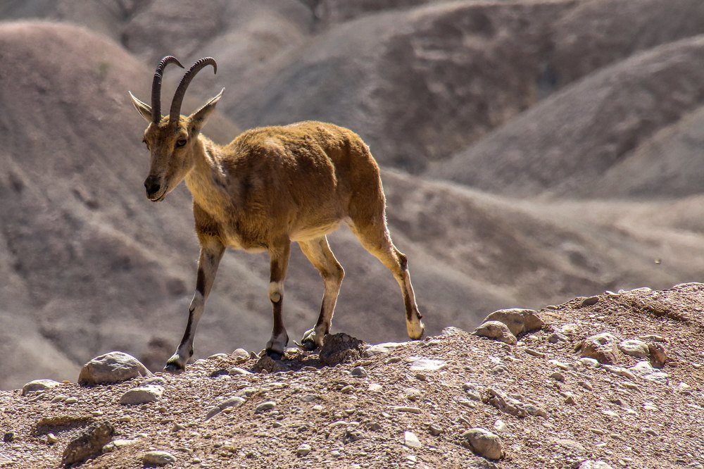 Photograph by Galina Rashap