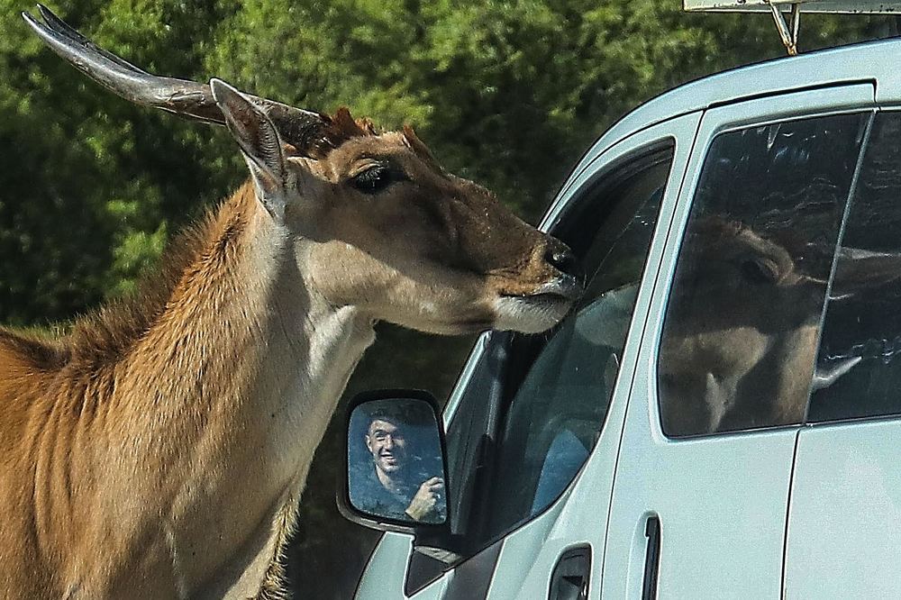 Photograph by Galina Rashap