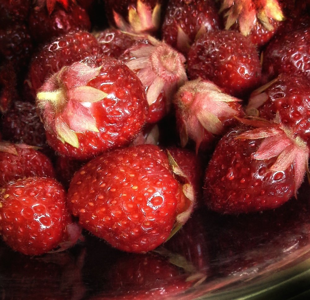 Photograph by Людмила М