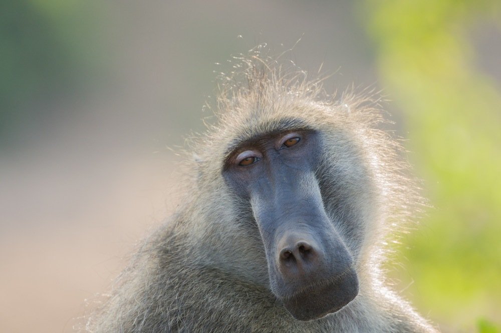 Photograph by Anton  Zyablov