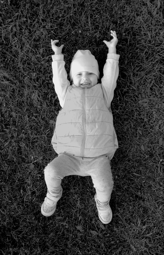 Photo #3871274