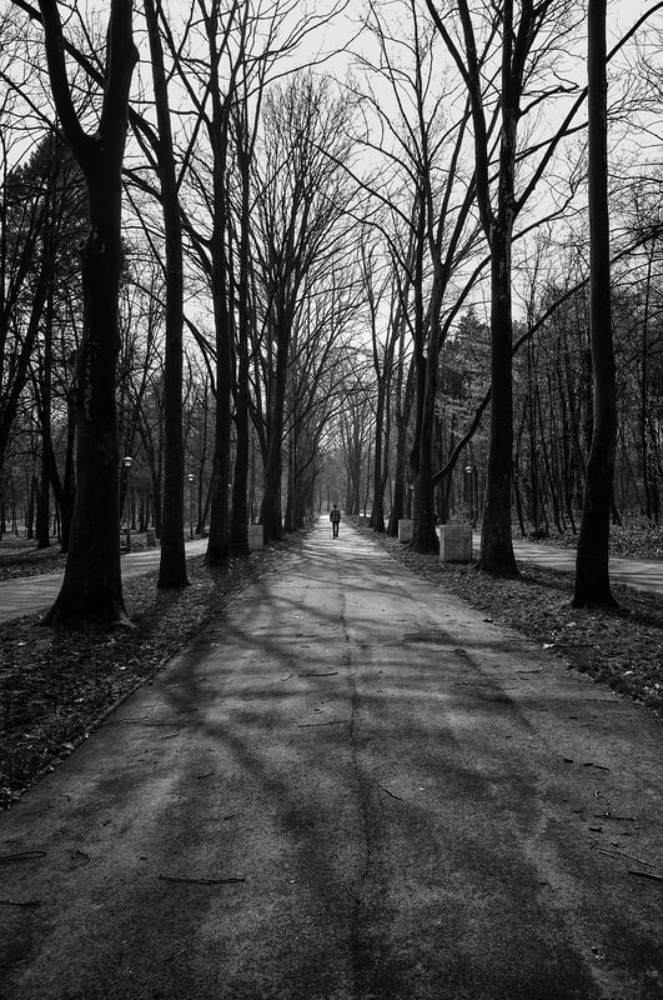 Фотография автора Giorgos Mantas