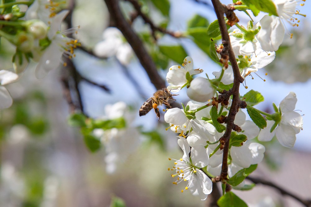 Photograph by Кравченко Константин