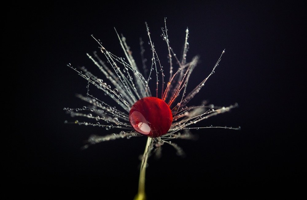 Photograph by Иван Радьков