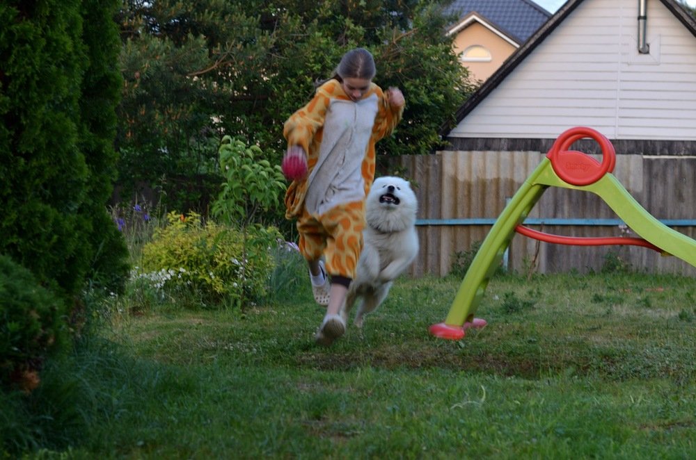 Фотография автора Максим Судас