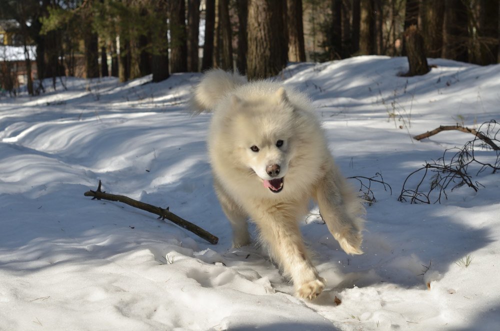 Фотография автора Максим Судас