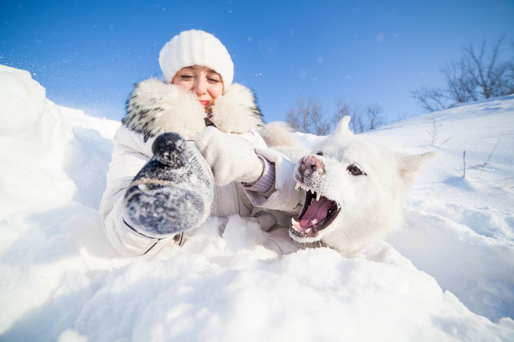 Photograph by Алексей Пирязев