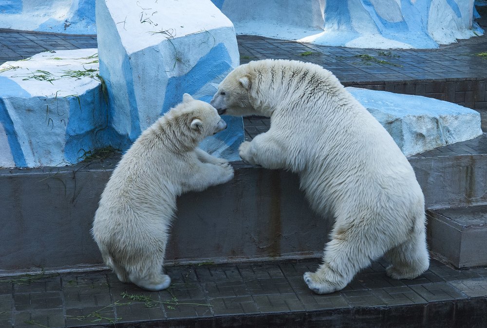 На ухо, по секрету.