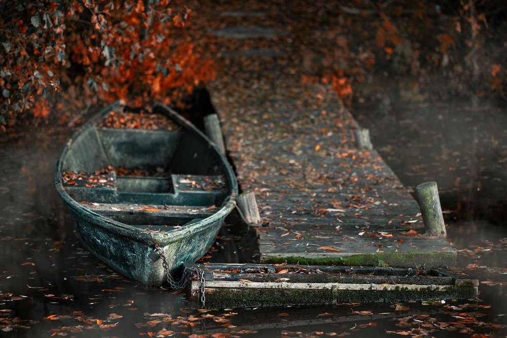 Photograph by Andrzej Lisowski