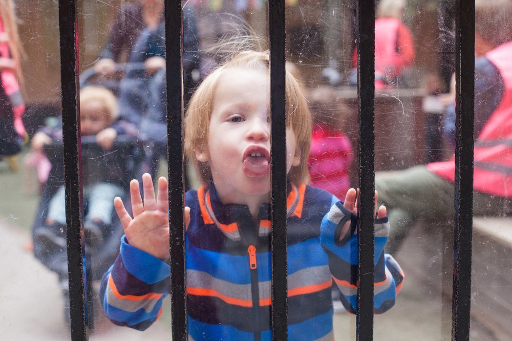 Photograph by Алексей Пирязев