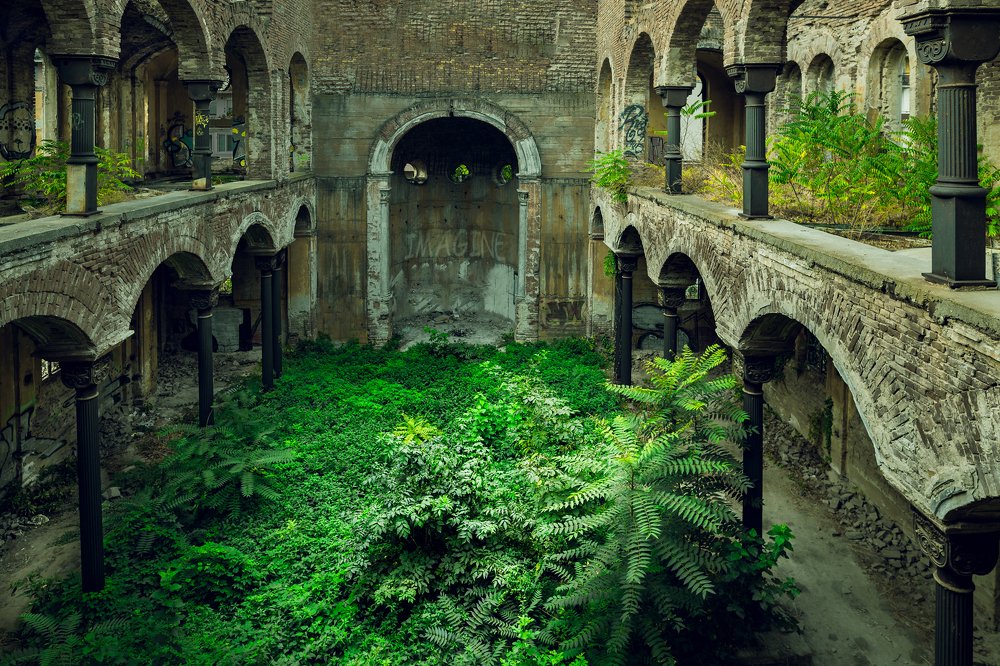 Photograph by Andrzej Lisowski