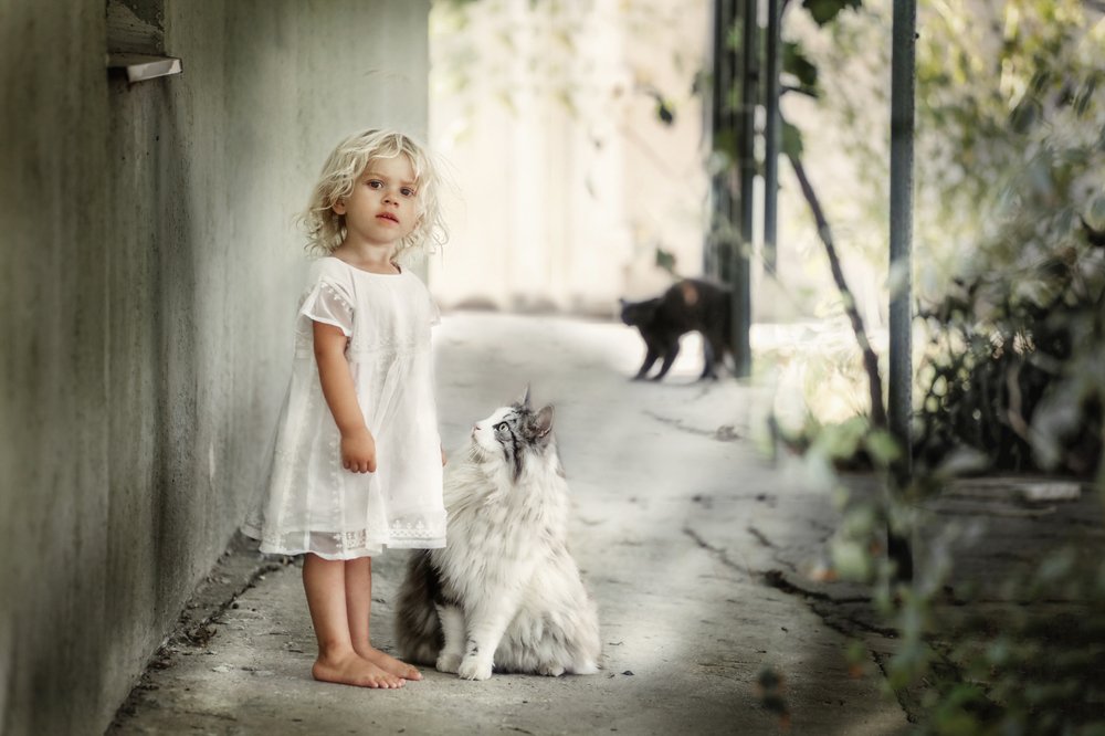 Photograph by Станкевич Анечка