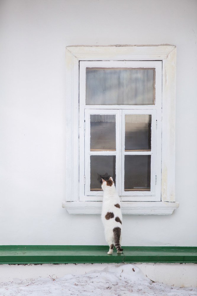 Photograph by Алексей Пирязев