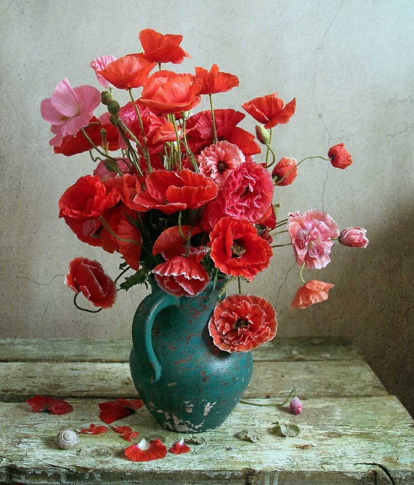 Как алых бабочек развернутые крылья...