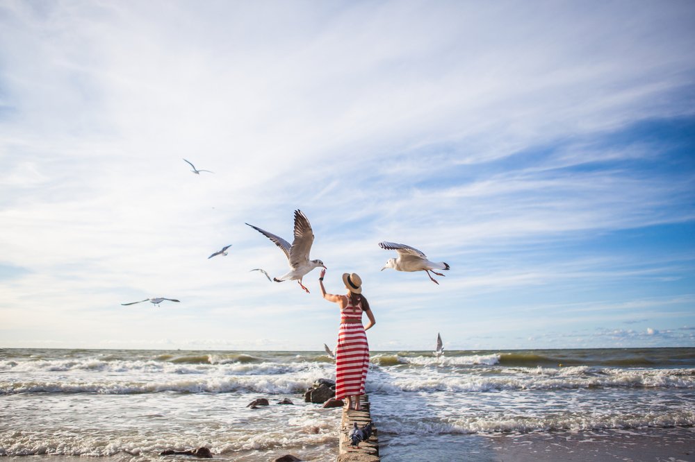 Photograph by Алексей Пирязев