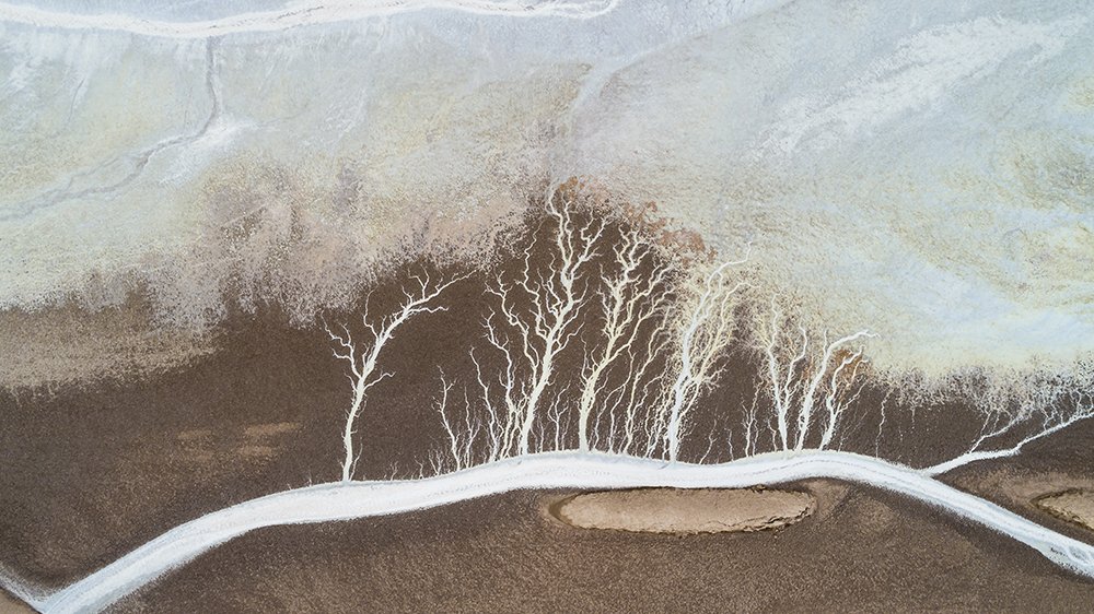 Photograph by Mohammadreza Masoumi