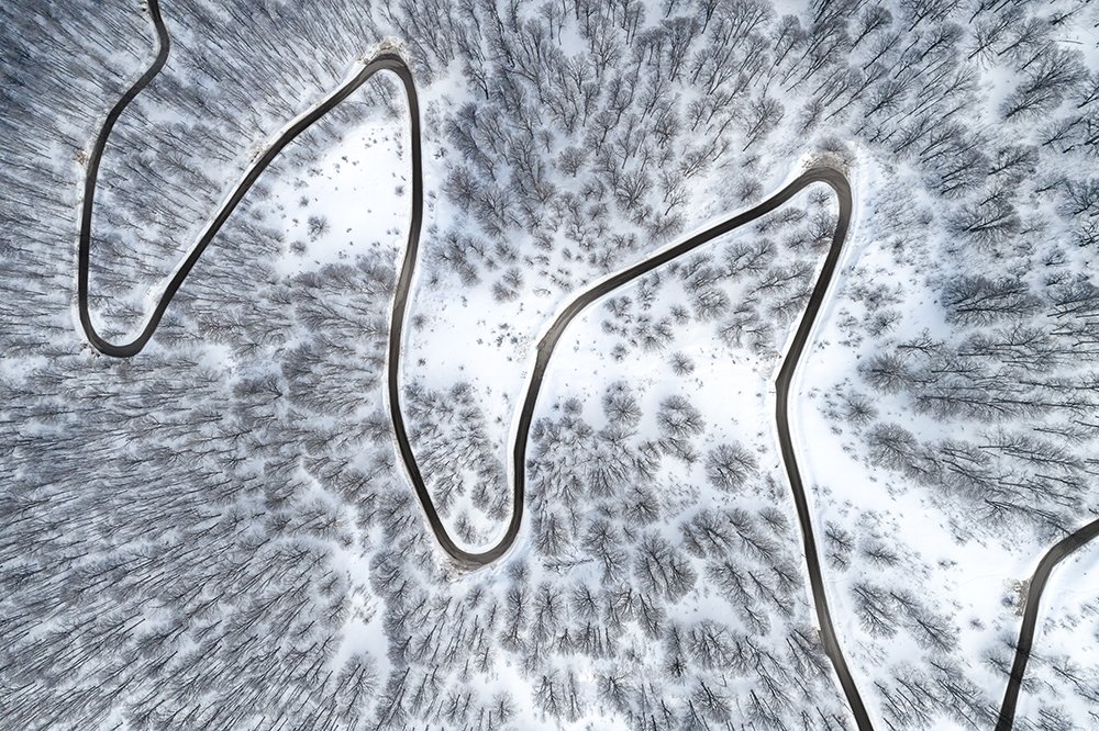 Photograph by Mohammadreza Masoumi