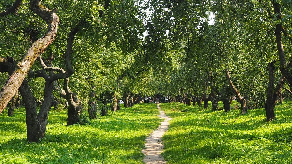 Photograph by Наталка Мазурук