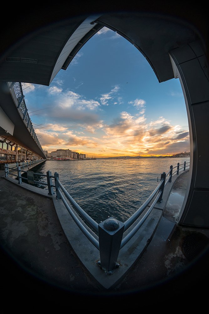 Photograph by Mohammadreza Masoumi