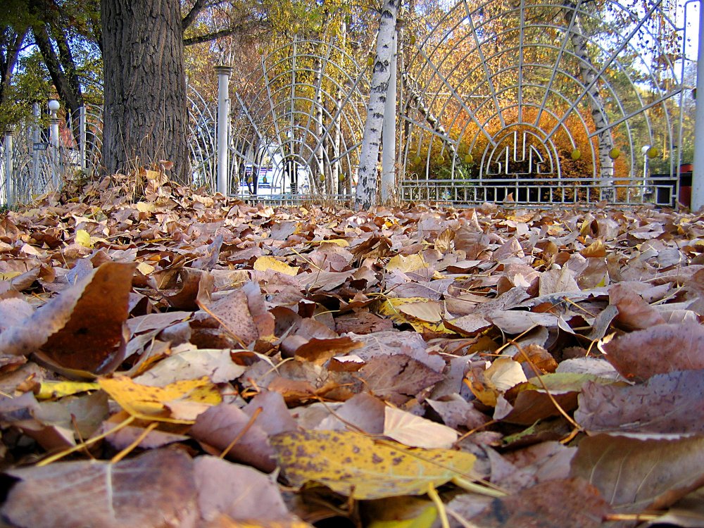 Photograph by Борис Тасов