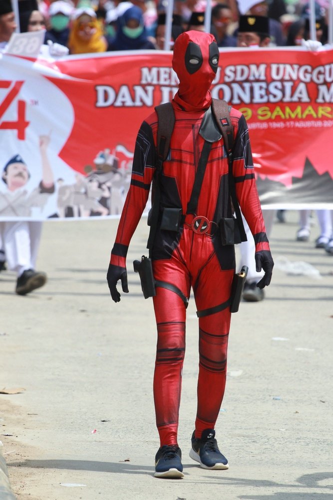 Фотография автора Y.P Agung