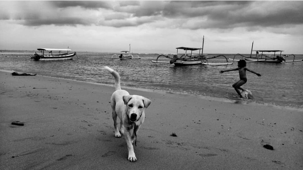 Photograph by Anton Bayu Samudra