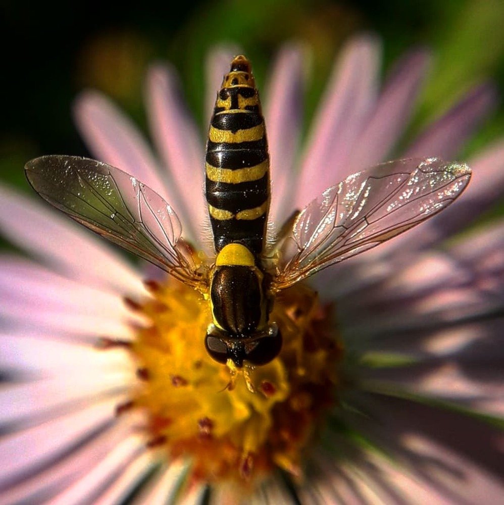 Photograph by Оксана Кочубеева