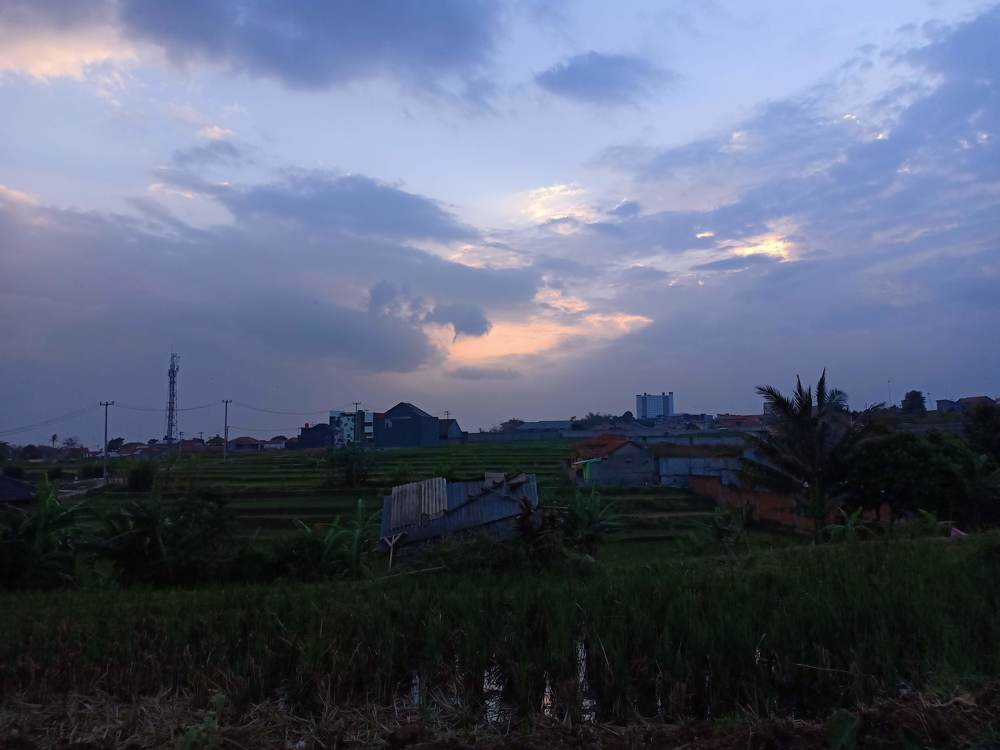 Photograph by Varshini Rajentiran