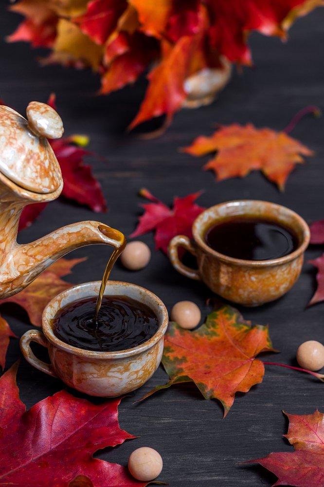 Photograph by Елена Стещенко