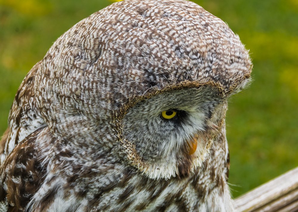 засмущалась