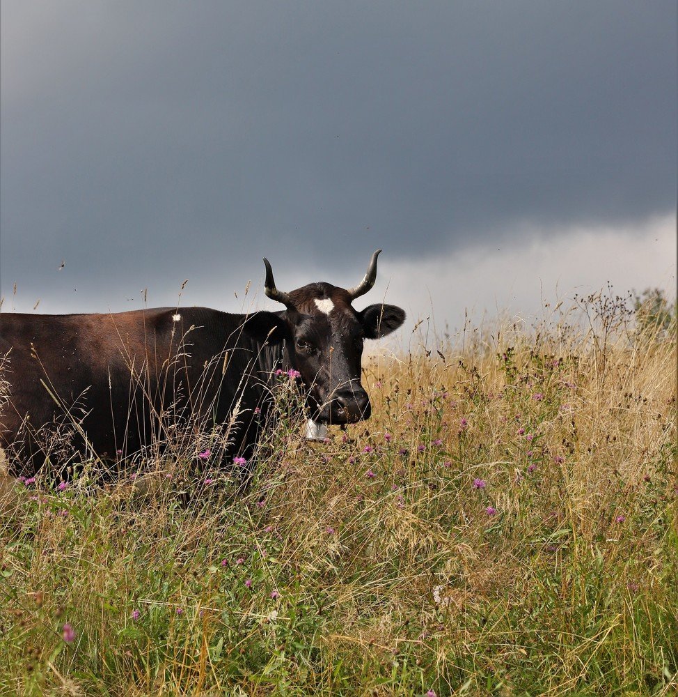 Photograph by Андрей Телибаев