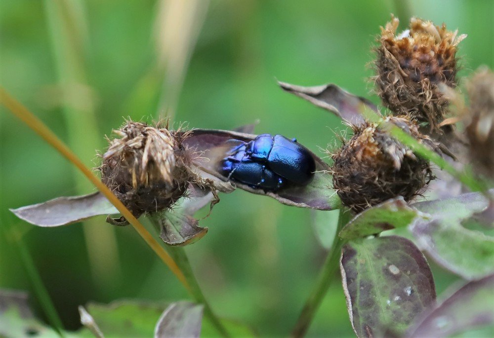 Photograph by Андрей Телибаев