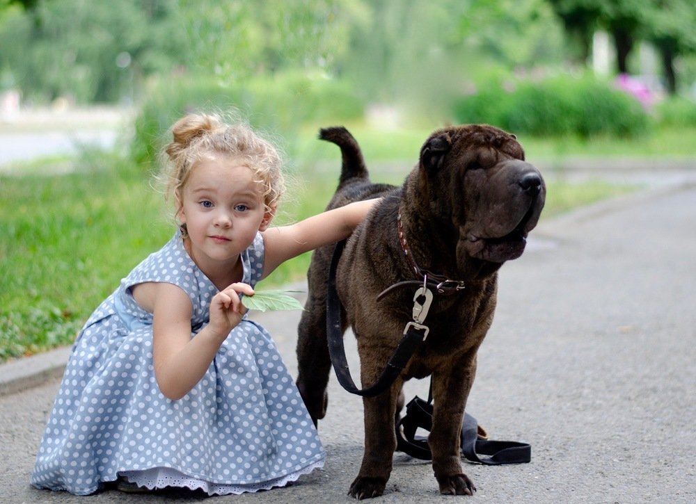 Photograph by Анна Вержбицкая