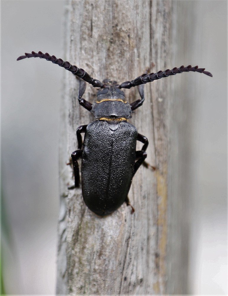 Photograph by Андрей Телибаев