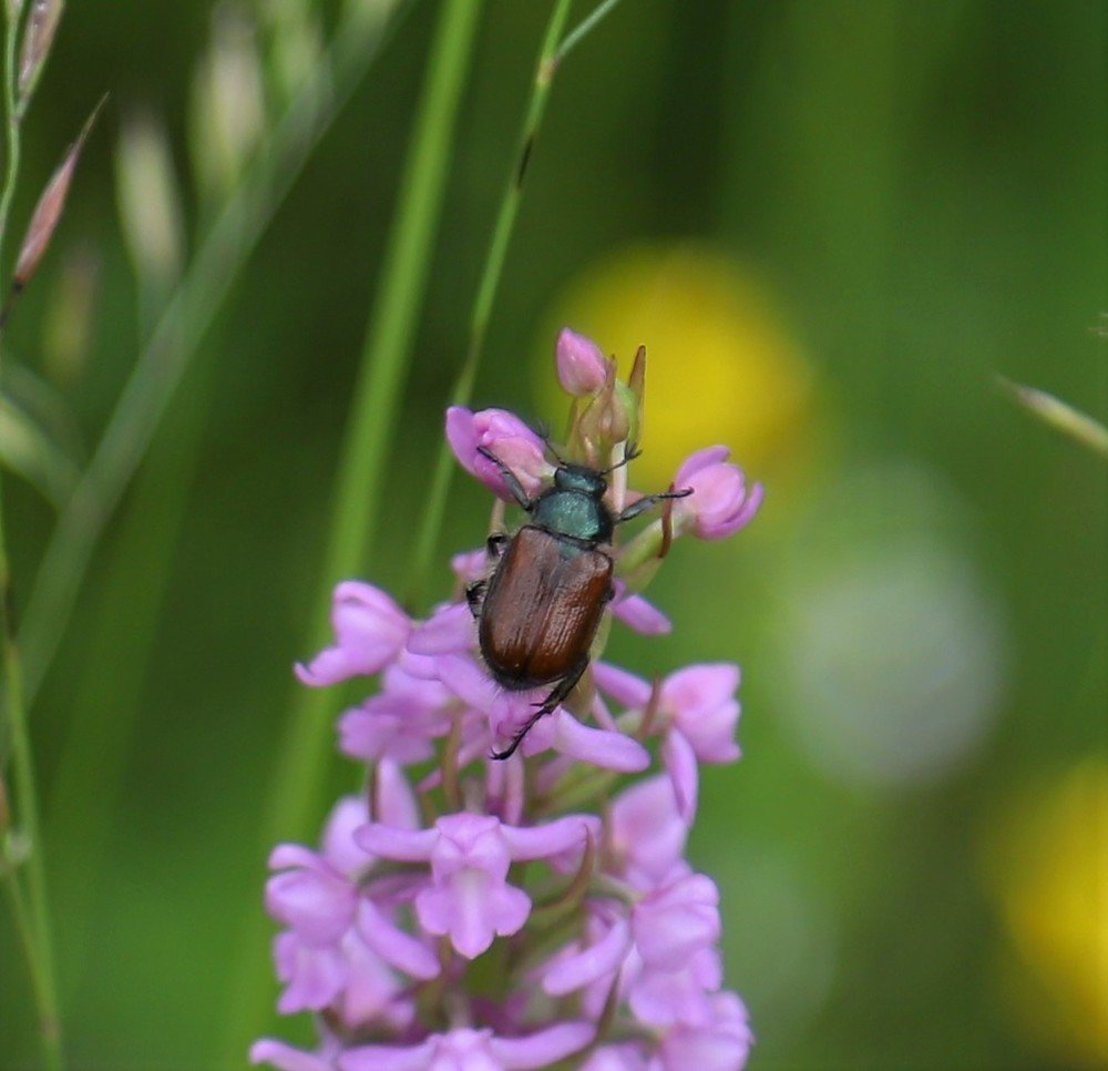 Photograph by Андрей Телибаев