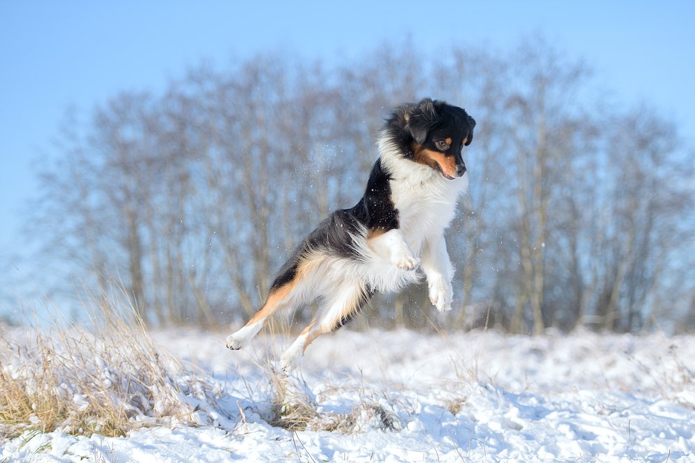 Photograph by Irina Kovaleva