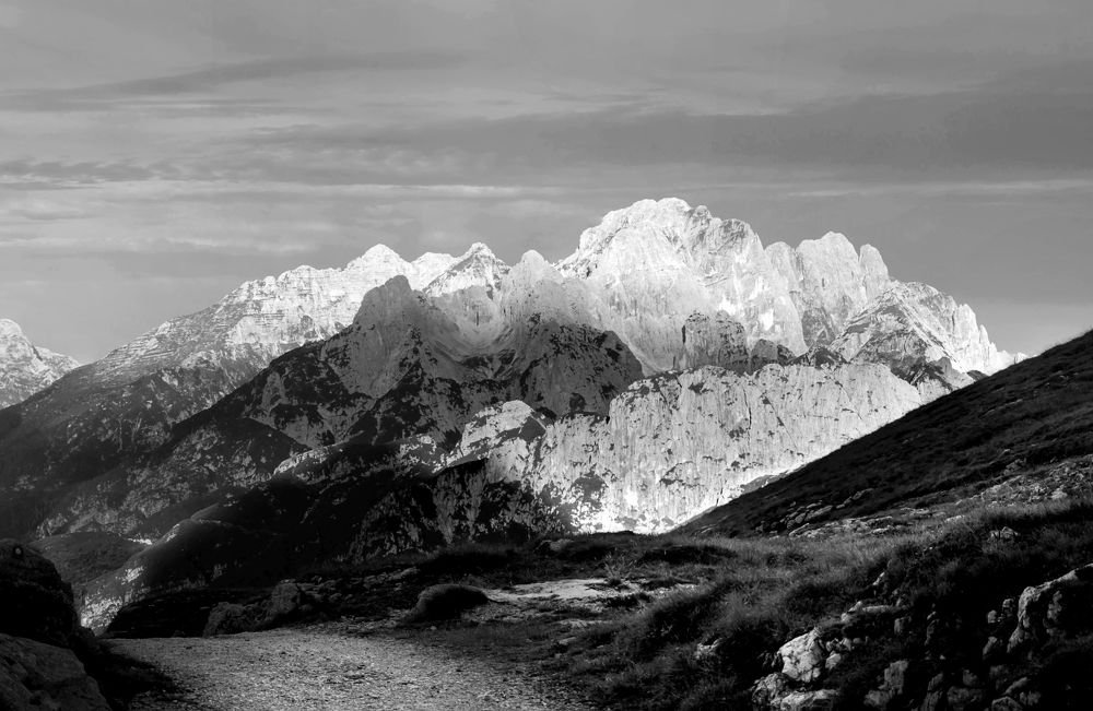 Фотография автора BRANKO BALAŠKO