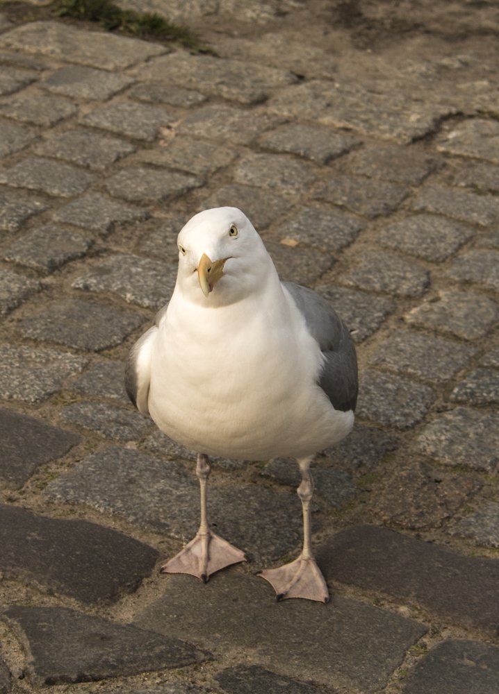 ну дайте, дайте хоть что - ниудь.