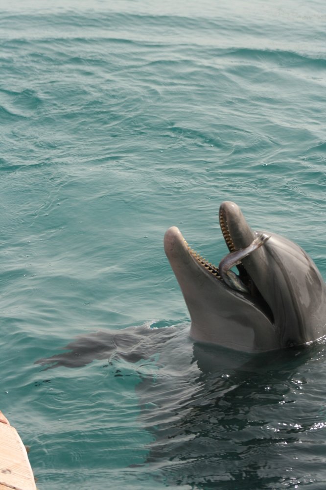 Photograph by Евгений Рабинович