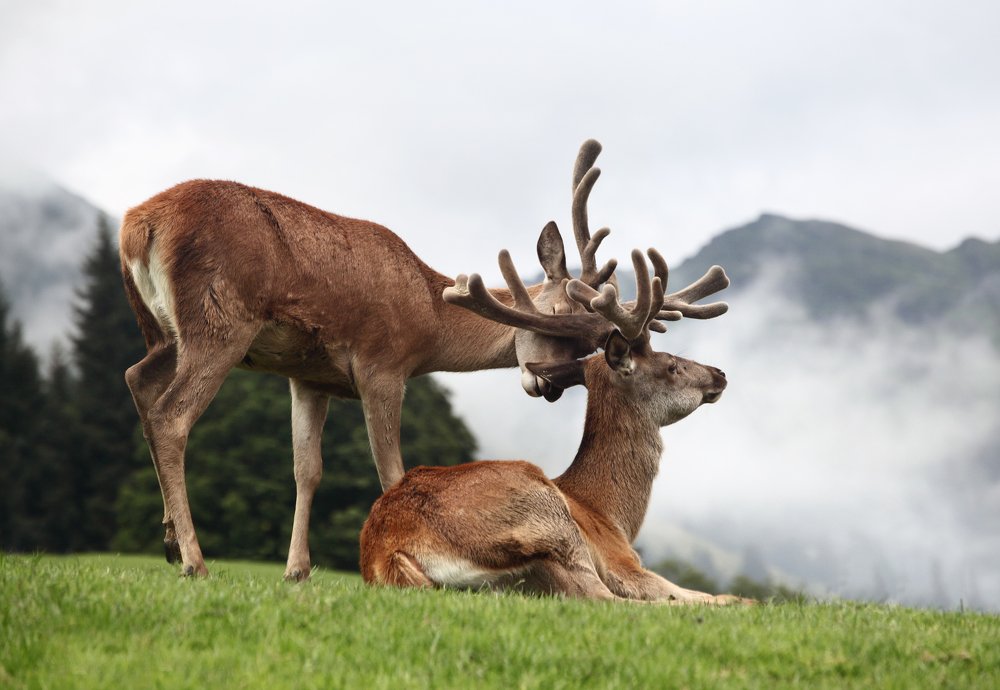 Photograph by Вика Иванова