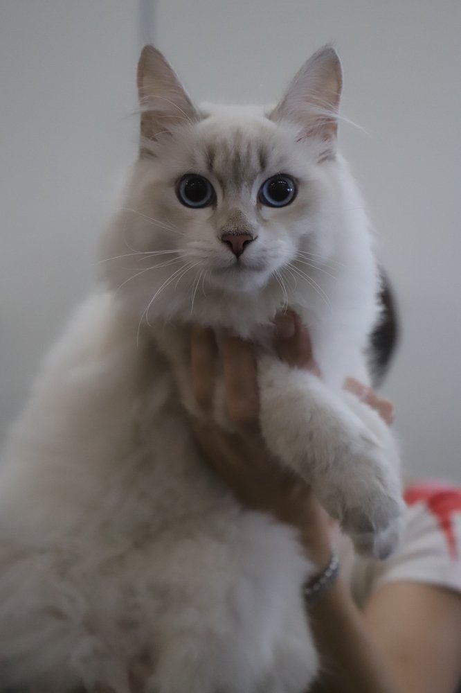 Photograph by Евгений Рабинович