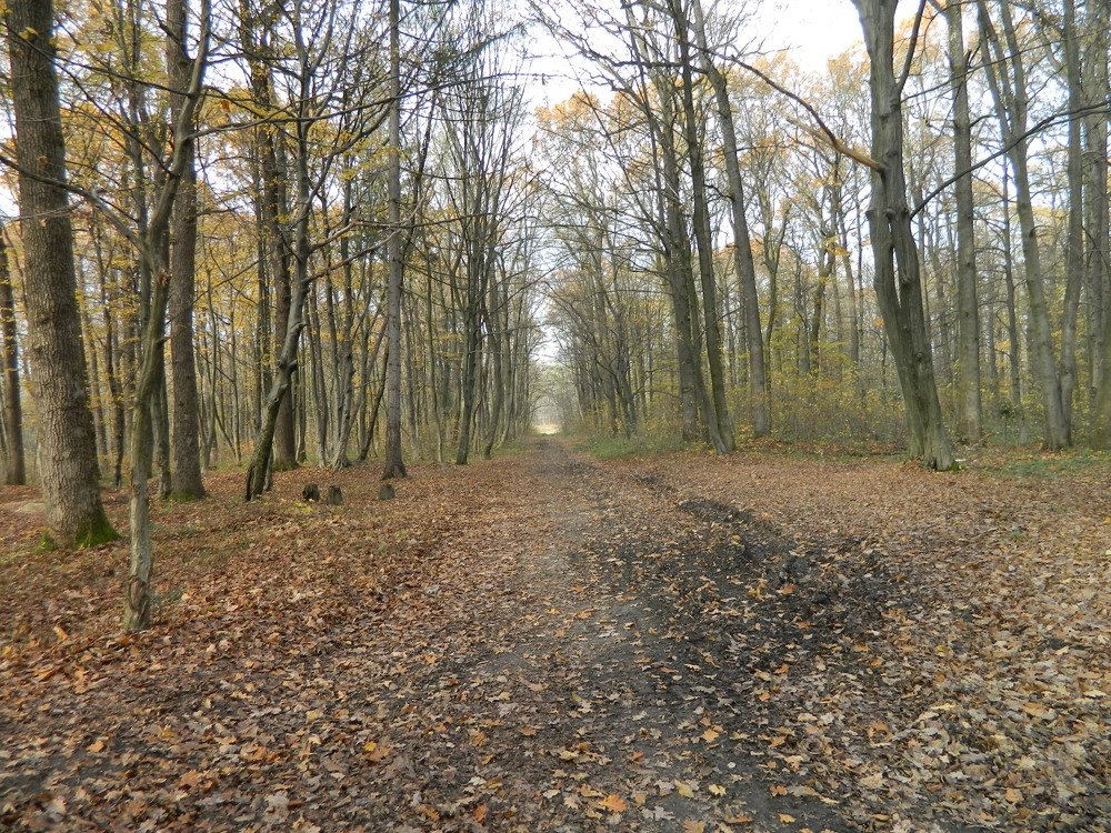 Photograph by Сергей Рапопорт