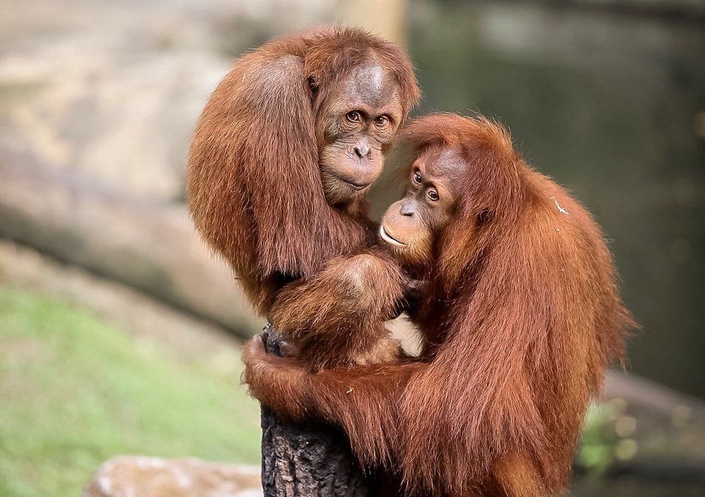 Photograph by Елена Цырюк