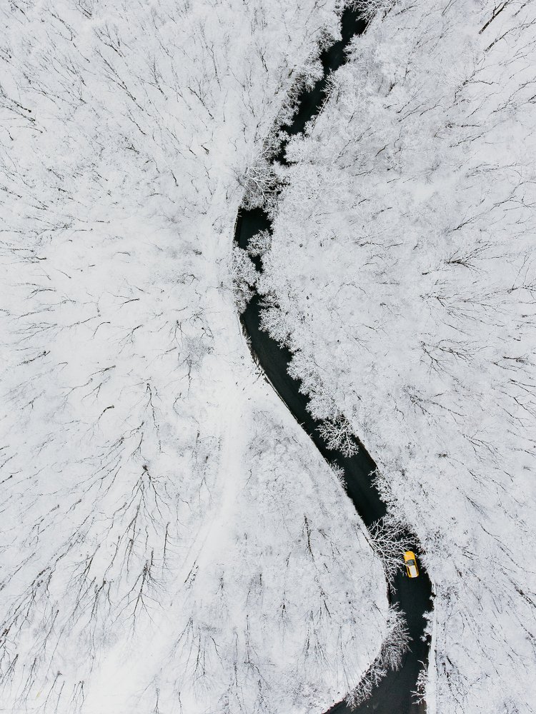 Весенняя сказка