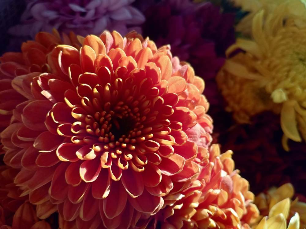 One Glance, Overflowing Love