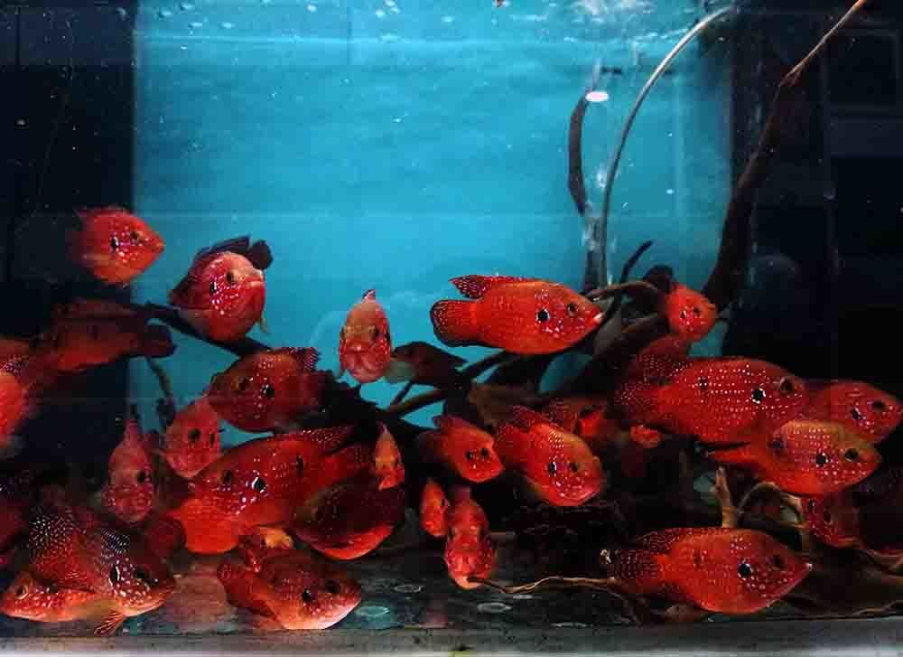 Photograph by shabnammoghadam