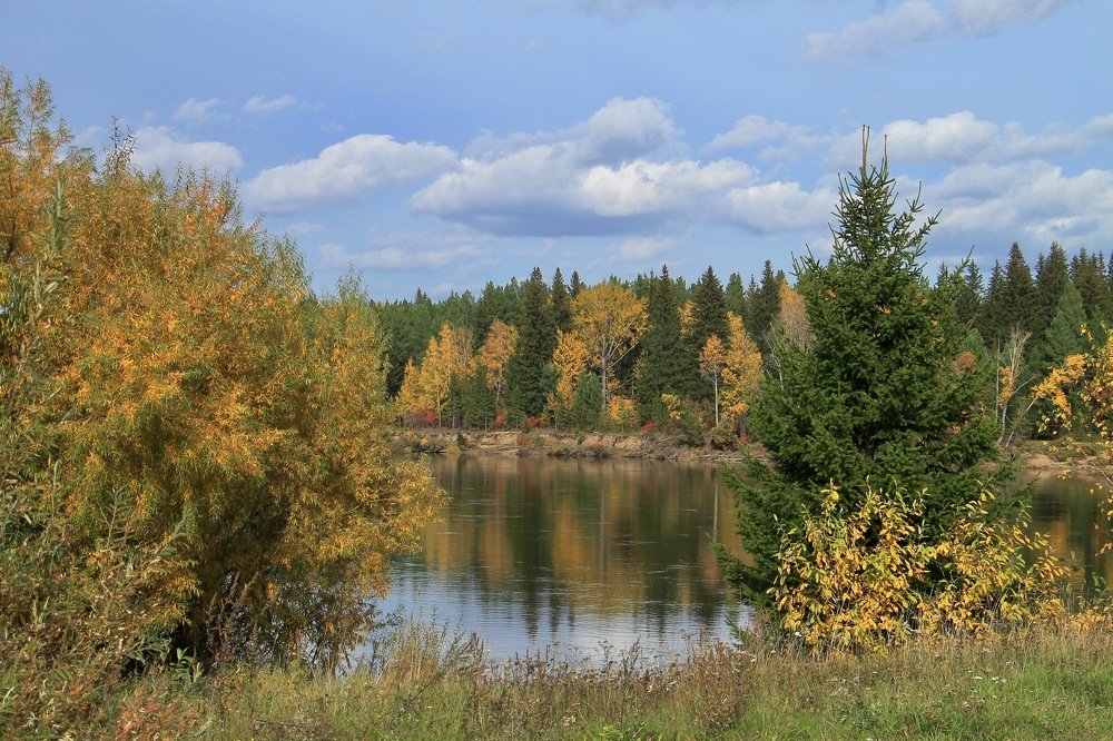 Photograph by Леунина Людмила