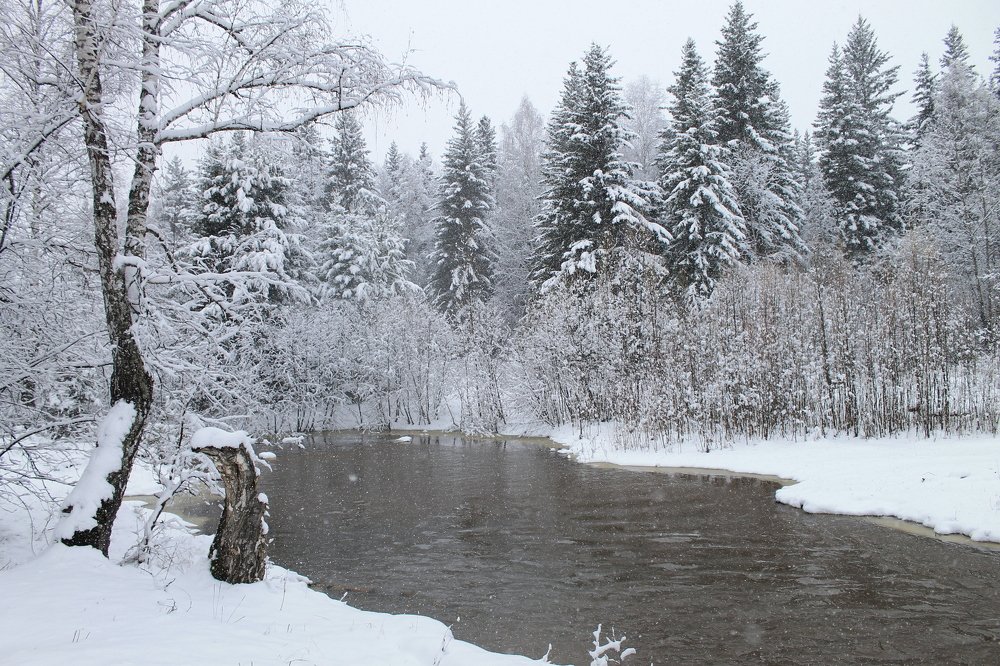 Photograph by Леунина Людмила