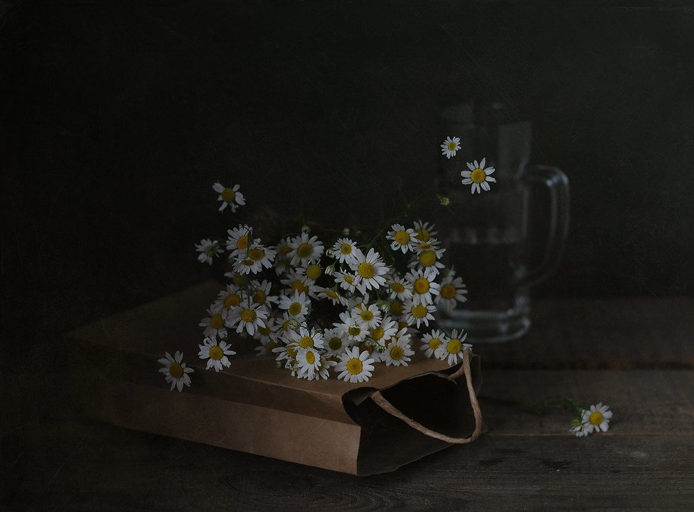 Зацвели ромашки - наступило лето...