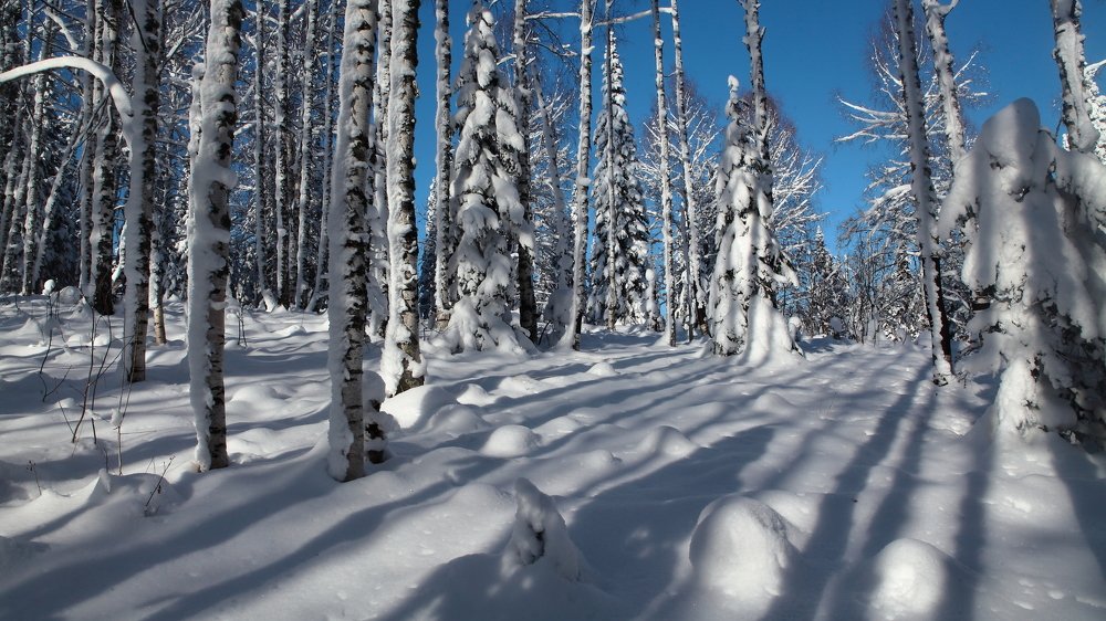 Photograph by Александр Полюдов